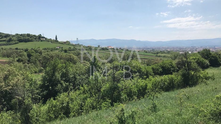 Teren extravilan - 8000 mp, Gusterita - Poză 3