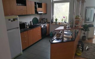 Apartament mare, luminos și spațios cu o grădină de vis în Grigorescu - Poză 4