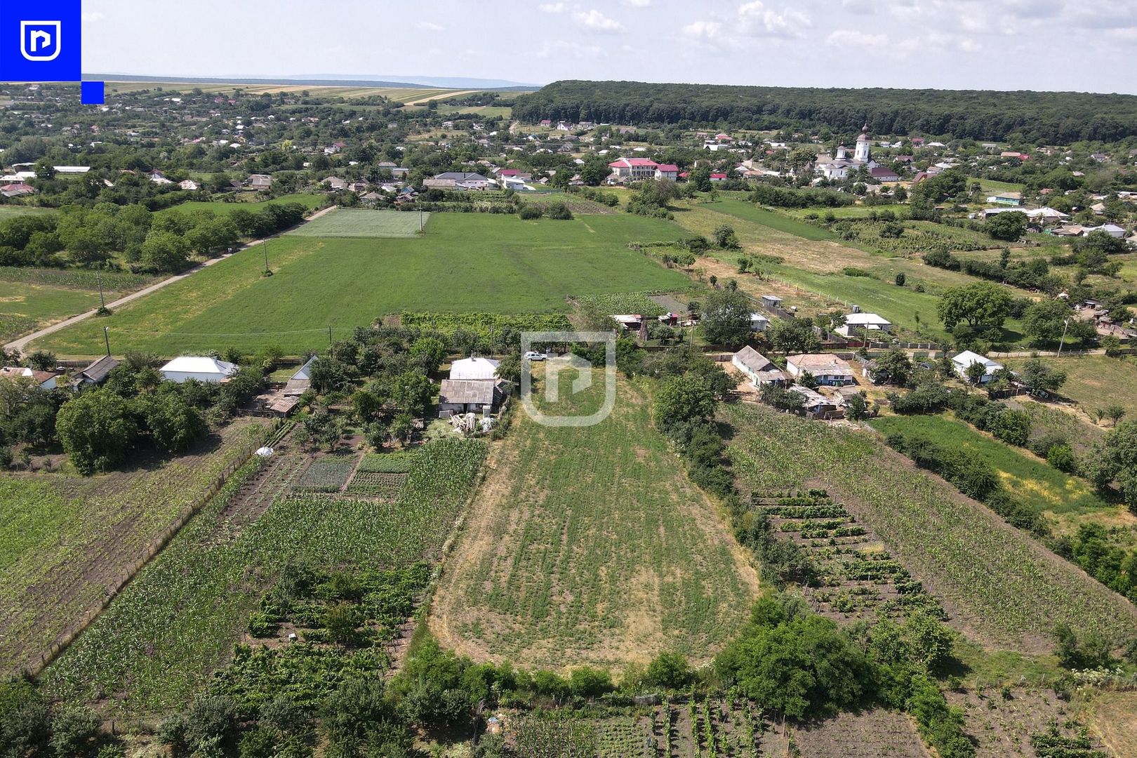 Teren - Ionășeni | BOTOȘANI | 3.285mp - Poză 7