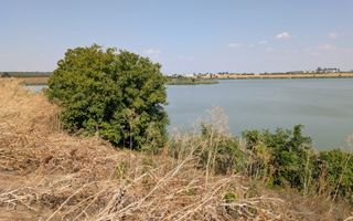 Teren de Vanzare Comuna Ciocanesti Jud Dambovita, 17.7 km de Bucuresti - Poză 4