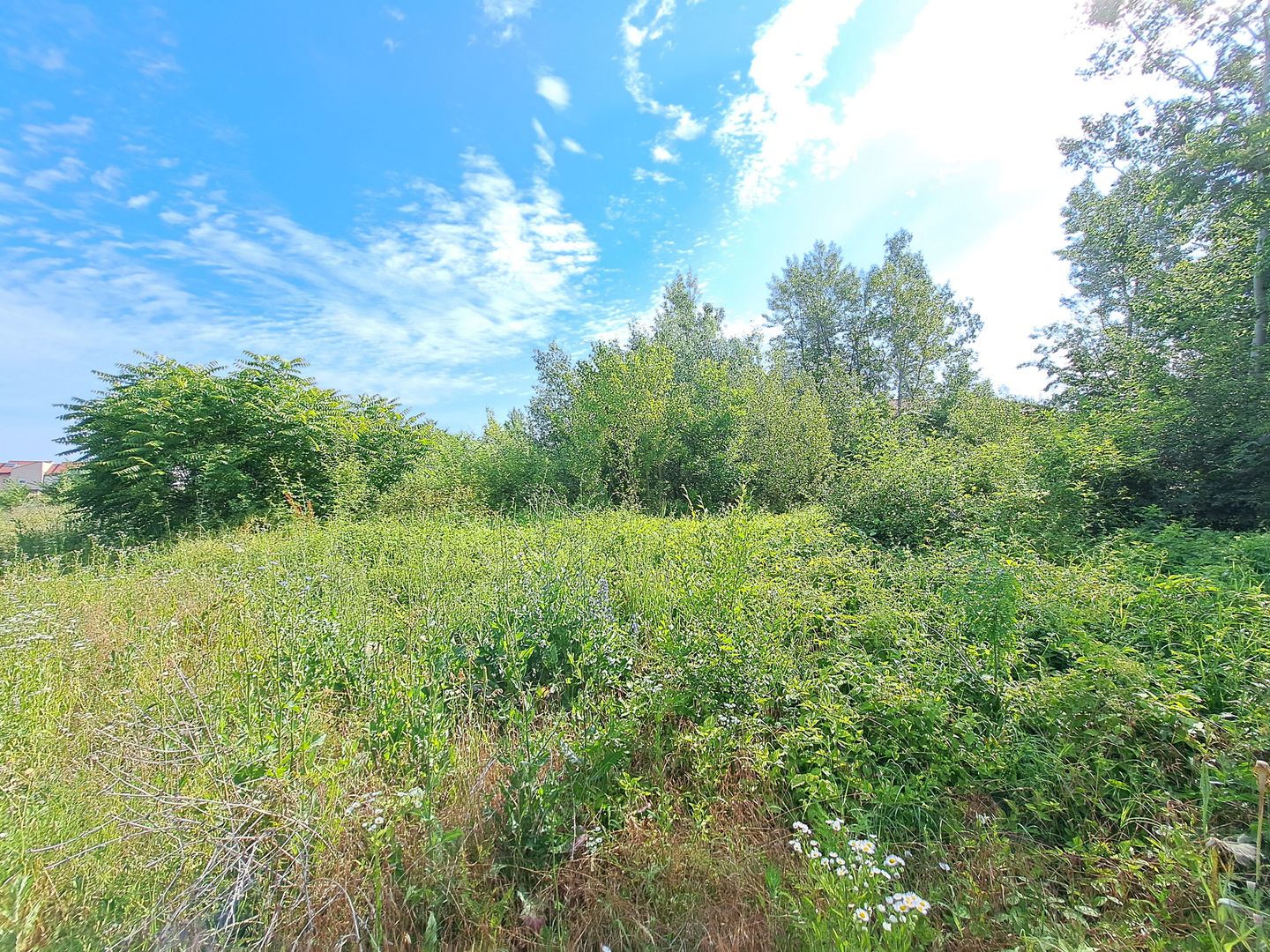 Teren intravilan - str. Salubritatii - Poză 1