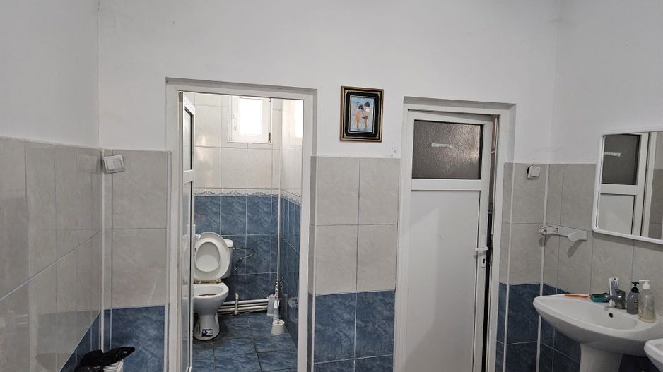 Vanzare amplasament industrial-servicii Tatarasti, Teleorman - Poză 8