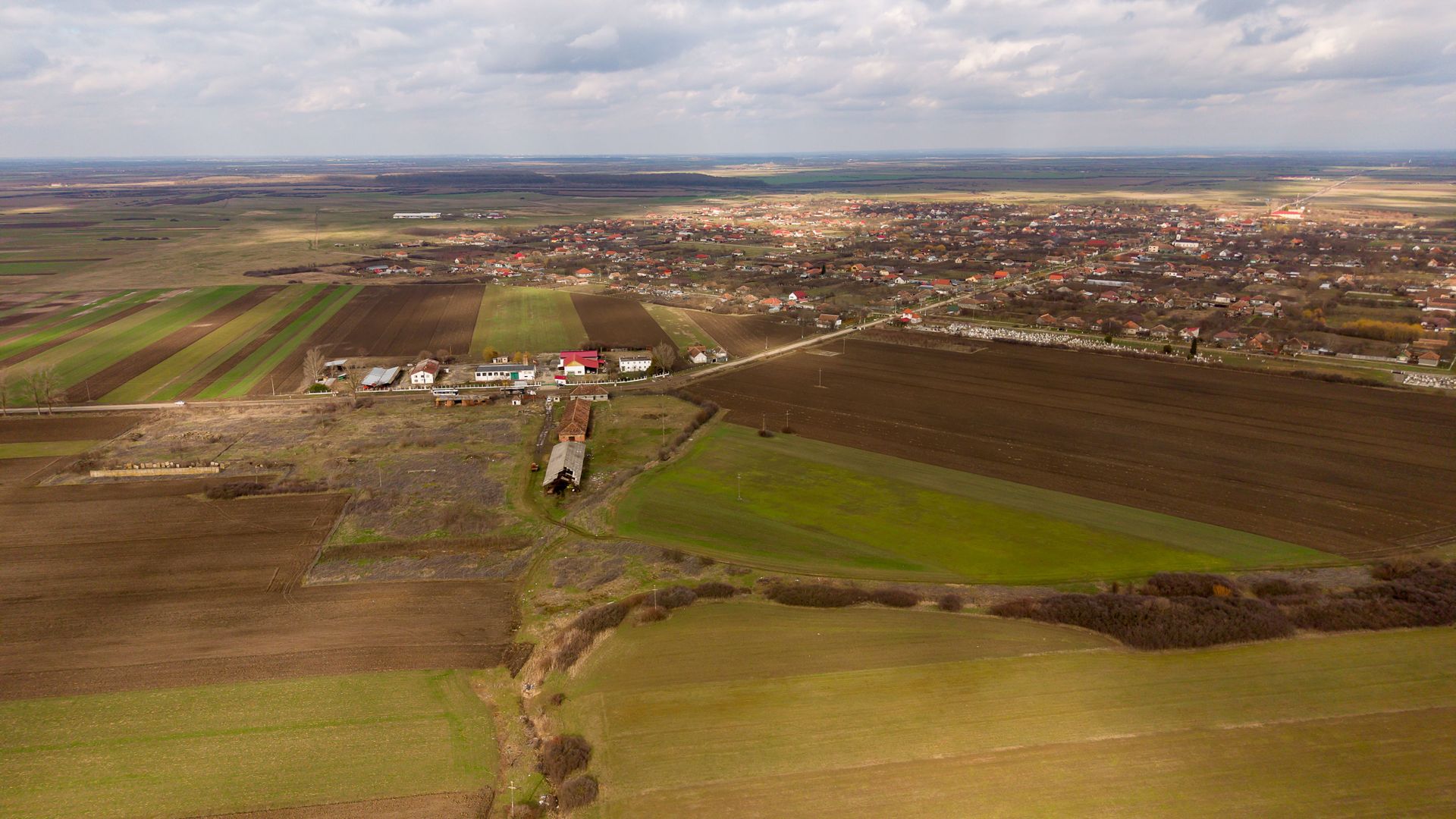 Fermă cu teren intravilan de 35000 mp în Mișca - Poză 8