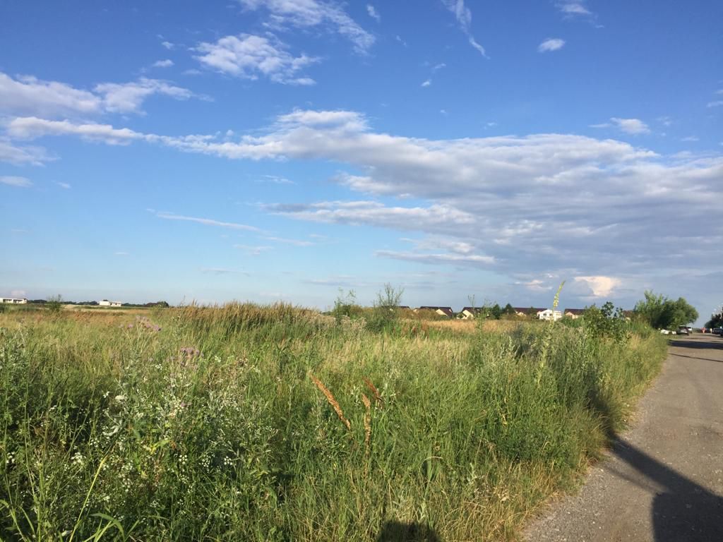 Teren intravilan in comuna Domnesti - sat Teghes - Poză 8