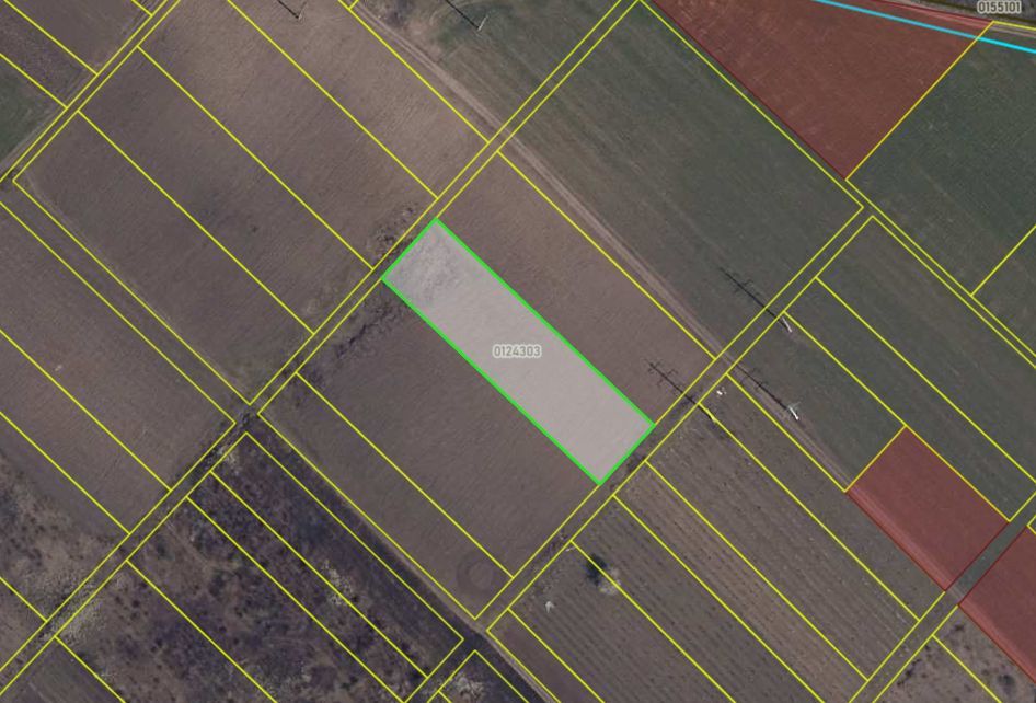 Teren agricol de 24 ari în Ghidighici – aproape de pădure, potrivit pentru investiție sau activitate agricolă - Poză 5
