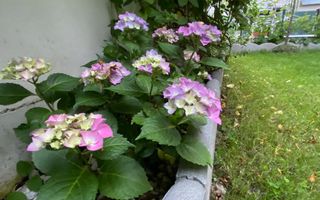 Vila de vanzare in Tunari I Gata de mutat I 4 camere I 5 parcari - Poză 8