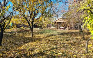 De vânzare – Proprietate deosebită în Ioșia, Oradea Preț: 274.000 € - Poză 4