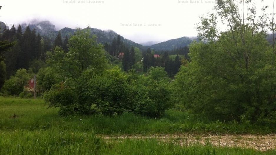 Teren intravilan Cotul Donului,pretabil Hotel/pensiune. - Poză 3