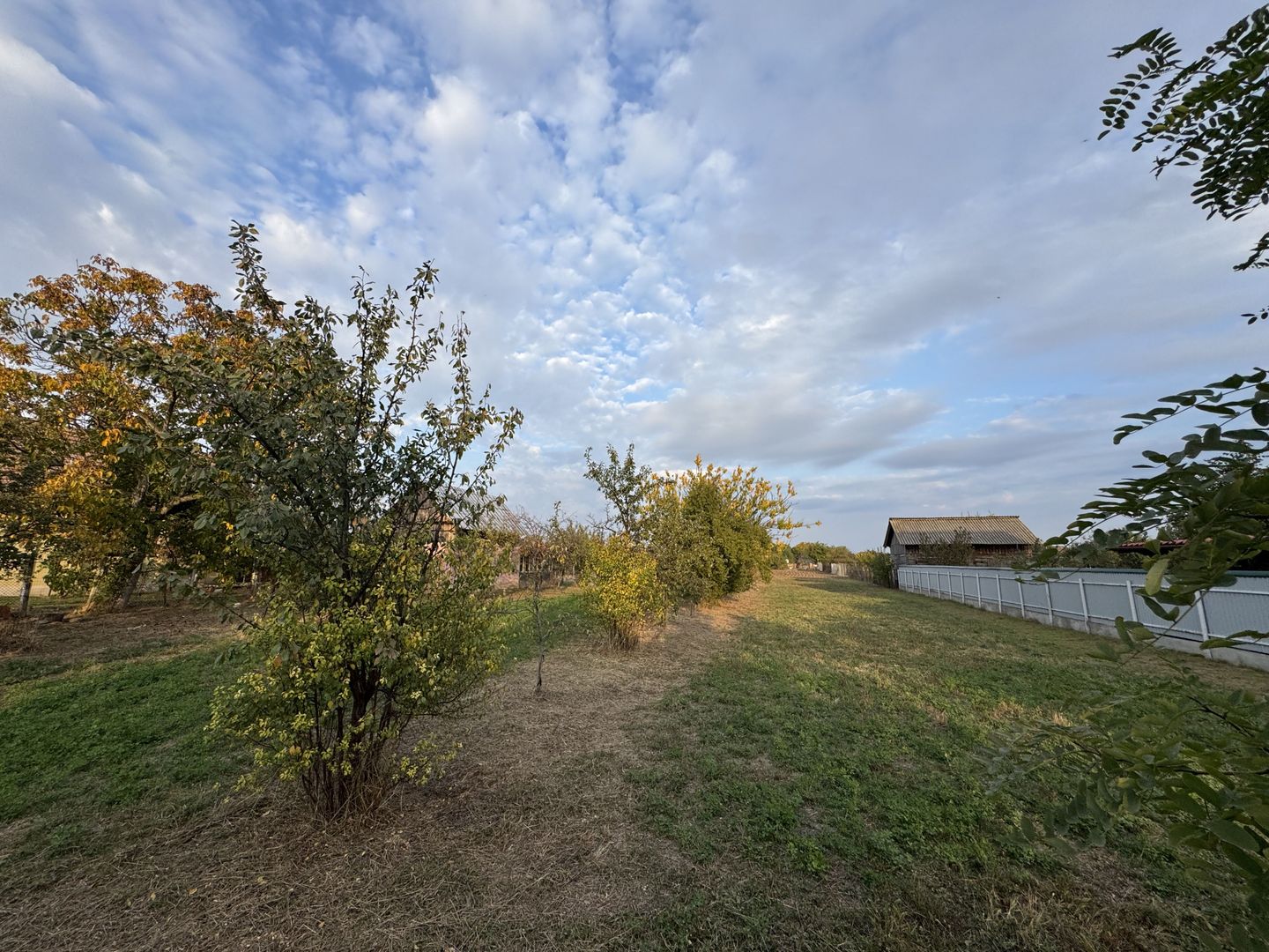 Teren Intravilan Becicherecu Mic In Vatra Satului,1104 mp,Fs. 14m - Poză 3