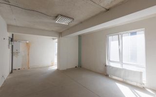 Vânzare, apartament, 1 cameră, strada Calea Ieşilor, Sculeni - Poză 6