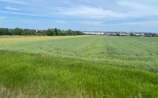 Teren Centura | 42 Ari | 17m Front - Poză 3