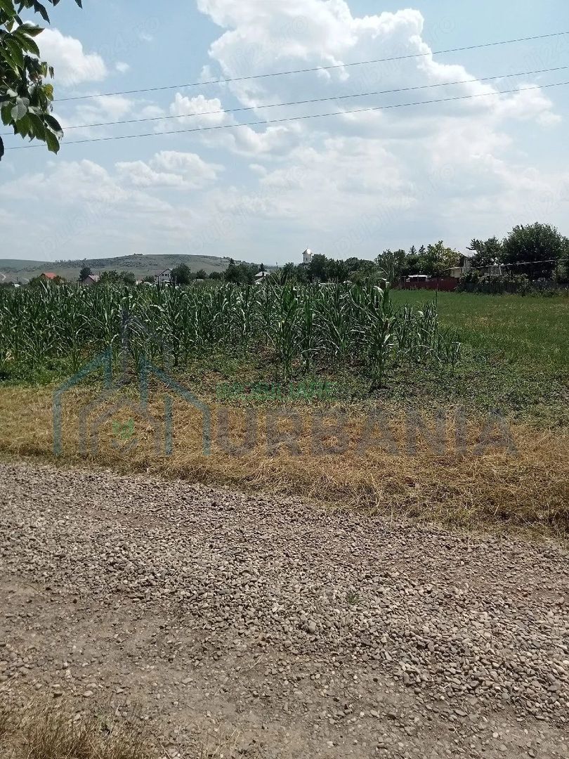Teren intravilan de vânzare în Războieni, comuna Ion Neculce, Iași - Poză 4