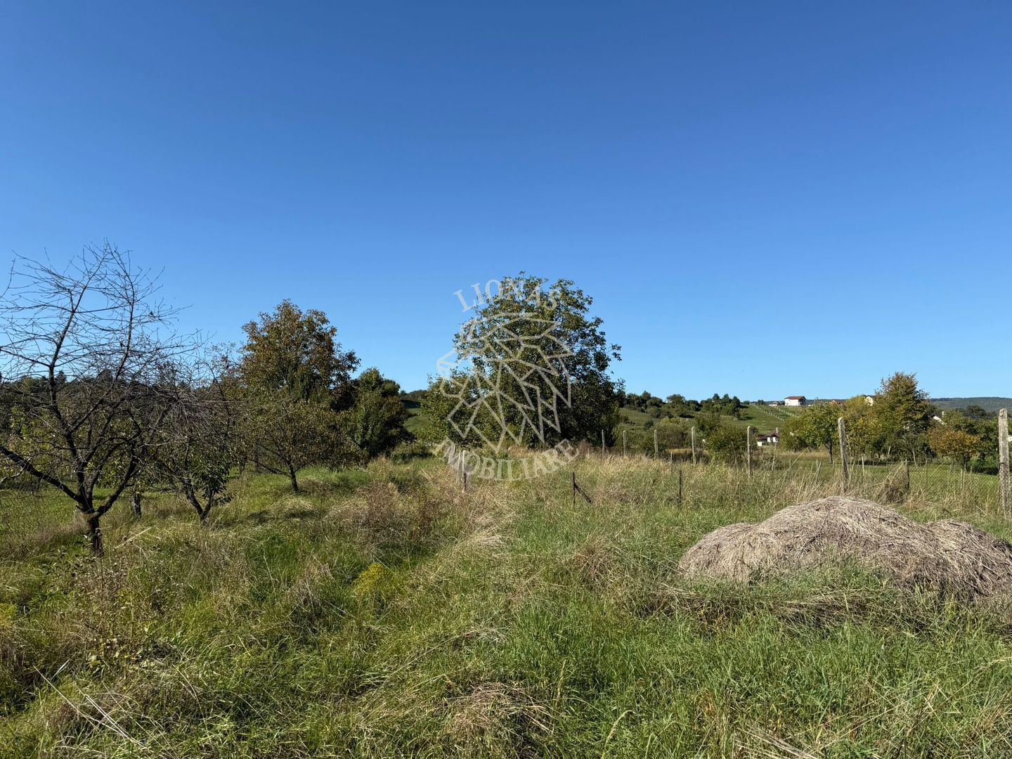 Teren intravilan 965 mp-imprejmuit-ideal casa-Livezile - Poză 3