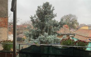 Apartament de 3 camere, 80 mp, in Piata Balcescu - Poză 14