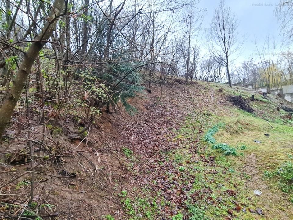 Teren intravilan1291 mp Schei Str Nisipului iesire la Drumul Poienii - Poză 7