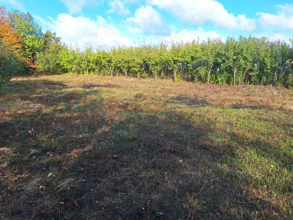 Vând Teren Horlesti-Rediu - Poză 10