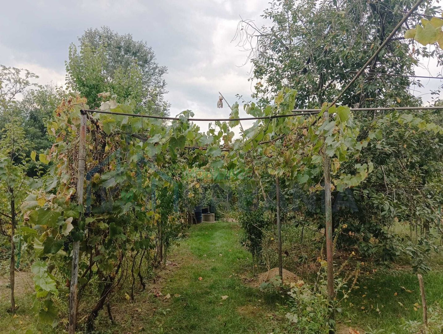 Casă cu etaj și teren de 1450 mp în Lunca, Pașcani - Poză 2