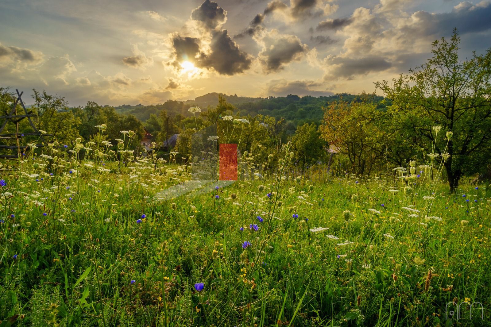 Teren intravilan Boteni Arges - Poză 15