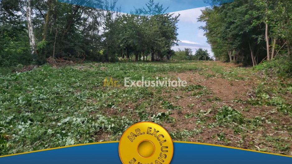 Teren zona montana in com.Turcinesti Jud.Gorj - Poză 1