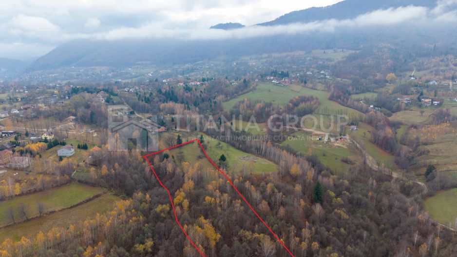 Teren intravilan, cu PUZ, Bran Tohanita,  SE ACCEPTĂ ȘI SCHIMB - Poză 13