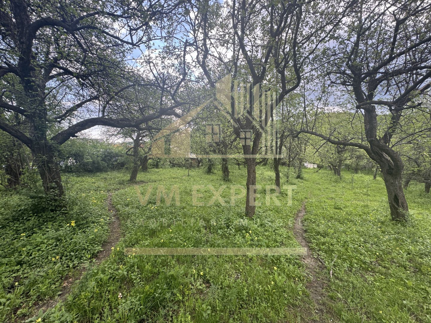 TEREN INTRAVILAN 7018 MP CAMPULUNG - Poză 21