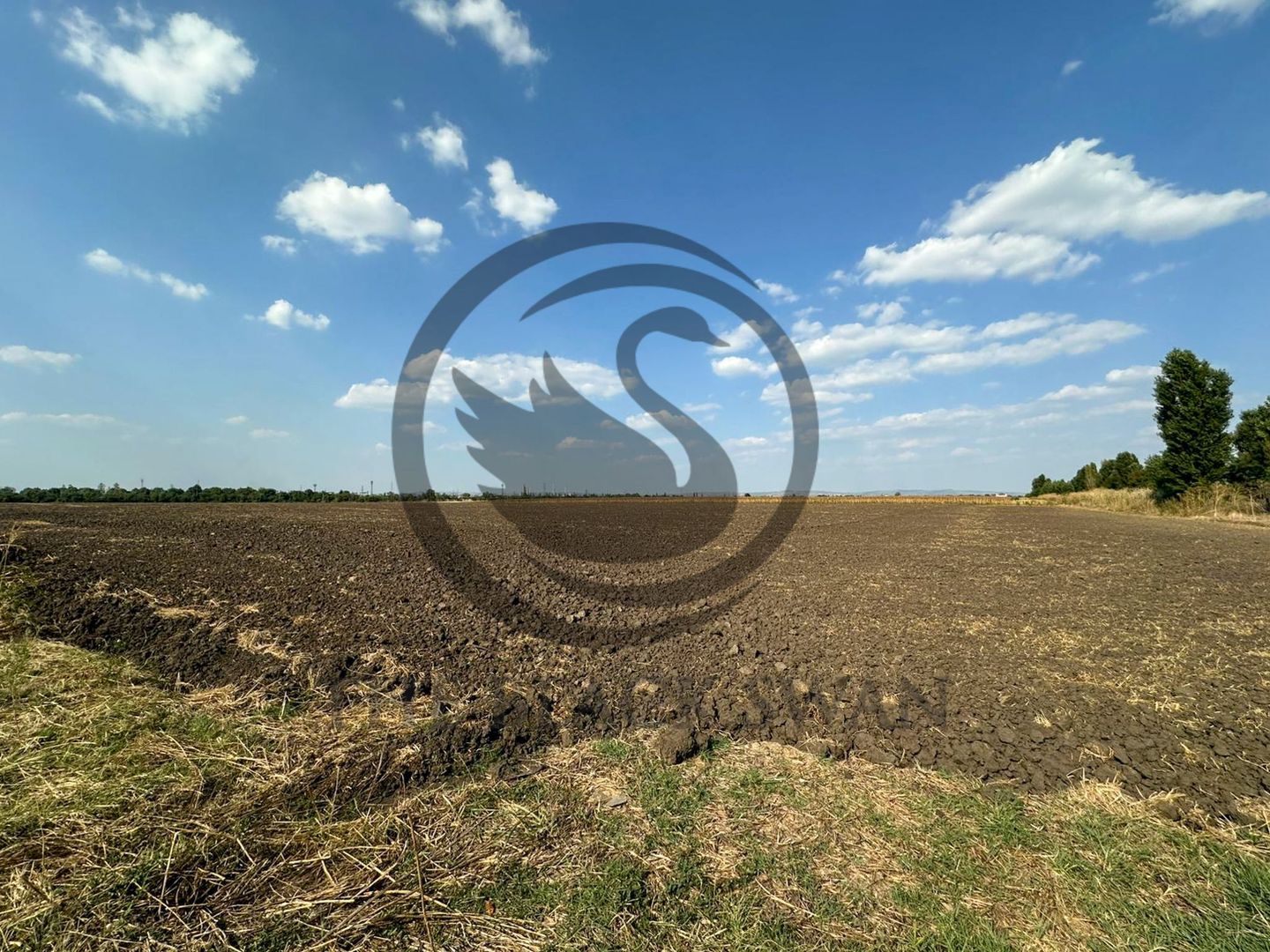 Teren extravilan de vanzare | 9882mp | Berceni - Prahova | Comision 0% - Poză 5