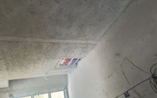 Casă de vânzare, sat Isaiia, comuna Răducăneni, județul Iași – 240 mp - Poză 10