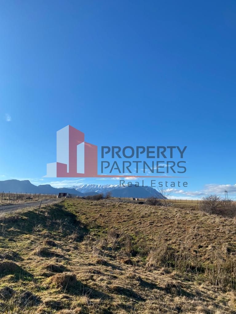 Teren Sohodol 10.000 mp - Poză 4