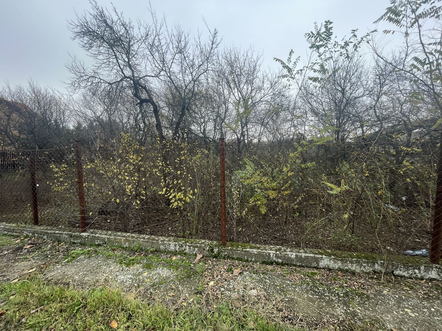 Teren in suprafata de 2165 mp cu front de 30 ml - Poză 4