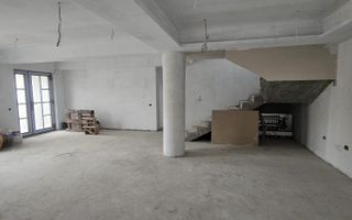 Casa individuala P+M de vanzare in Satu Costi – - Poză 8