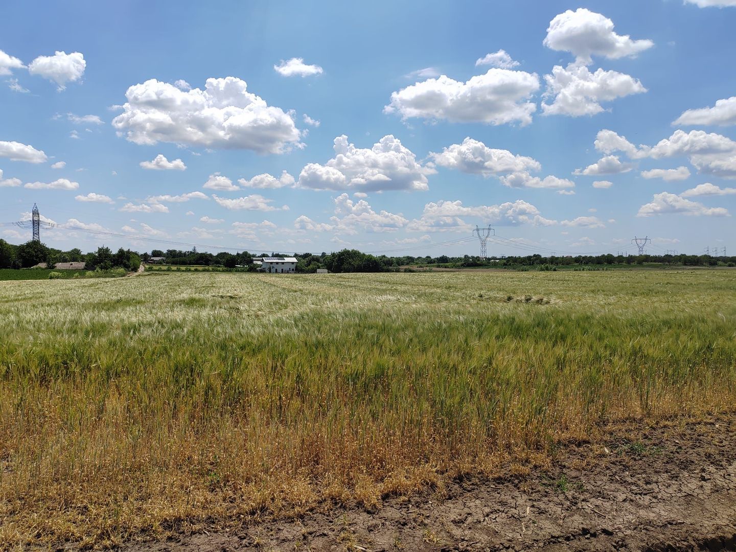 Frumusani Postavari 30 minute de Aparatorii Patriei super oferta 7 eur - Poză 2