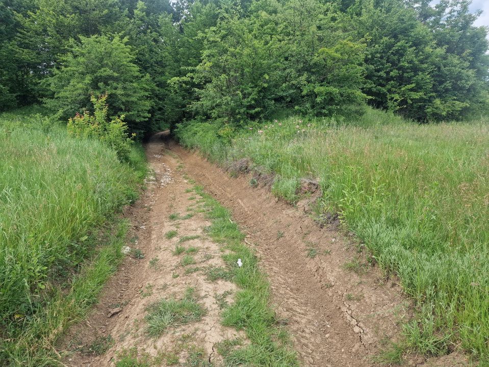 Teren extravilan str Balotesti! - Poză 4
