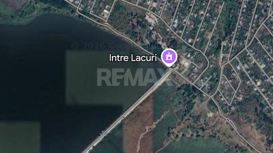 Lot Pomicol Suruceni - Poză 2
