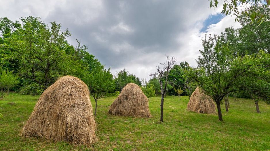 Casa moderna si casa bunicii + 6300 mp teren,Oaza autentica in Corbi Arges- - Poză 18