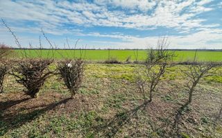 BG141-Teren-46.400 mp-Front 300 ml acces TIR | INCONTRO-Calea Sagului - Poză 6
