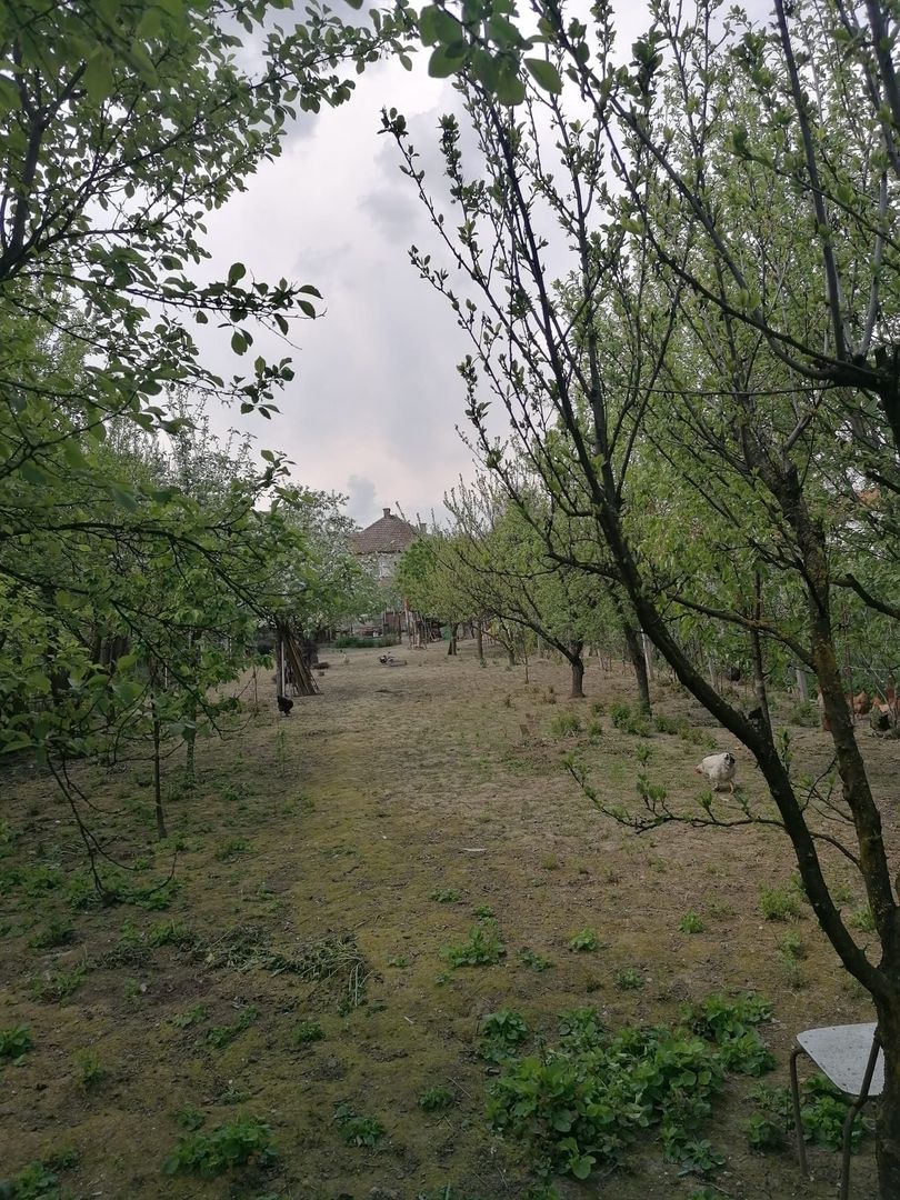 Ag EUROPA vinde casa 6 cam teren 11 ari în zona 14 Mai. - Poză 4