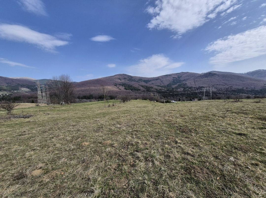 Teren intravilan la baza pădurii Valea Doftanei sat Traisteni (poduri) - Poză 4