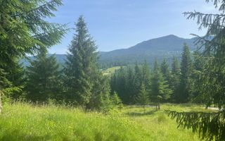 Teren intravilan 1000 mp cu utilitati-ideal cabana, pensiune-Colibita - Poză 3