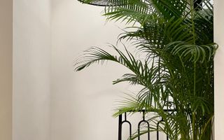 Vilă Modernă pe Două Niveluri în Floreasca- Arhitectură Contemporană și Eleganță - Poză 13