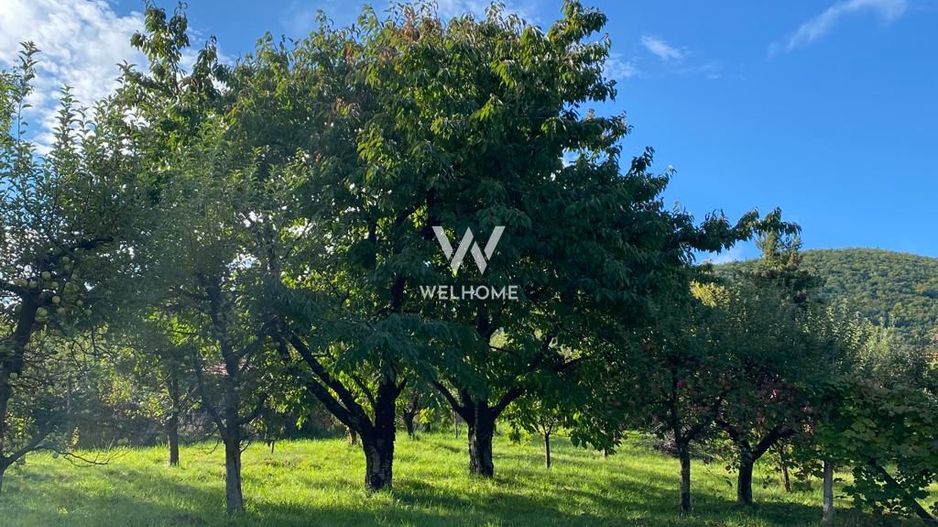 Teren intravilan 2100 mp - Valea Avligului - Sibiu - Poză 3