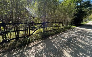 Cabana de vanzare, Valea Manastirii - Ramet - Poză 2