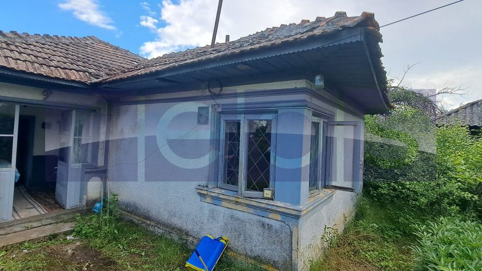 VANZARE CASA | TEREN 2500 MP | LIVADA SI VIE | SAT BREBINA – SCRIOASTEA - Poză 4