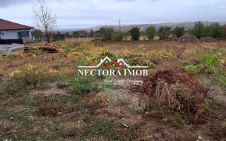 NECTORA IMOB-Teren Intravilan PALEU, 676 mp, Autorizatie Constructie - Poză 1
