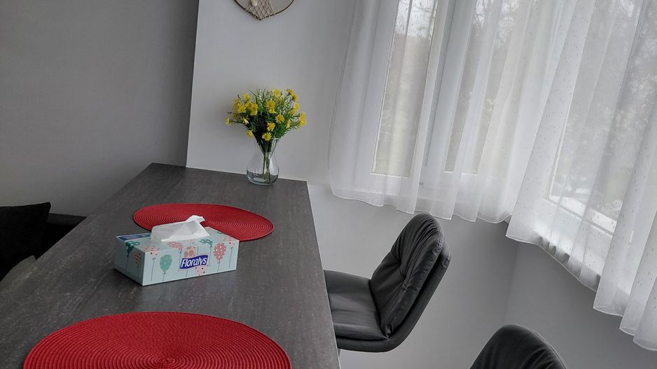 Apartament de închiriat – 2 camere, Tiglina 1, et 1 - Poză 11