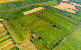 50 ha teren compact în Bujac - Poză 7