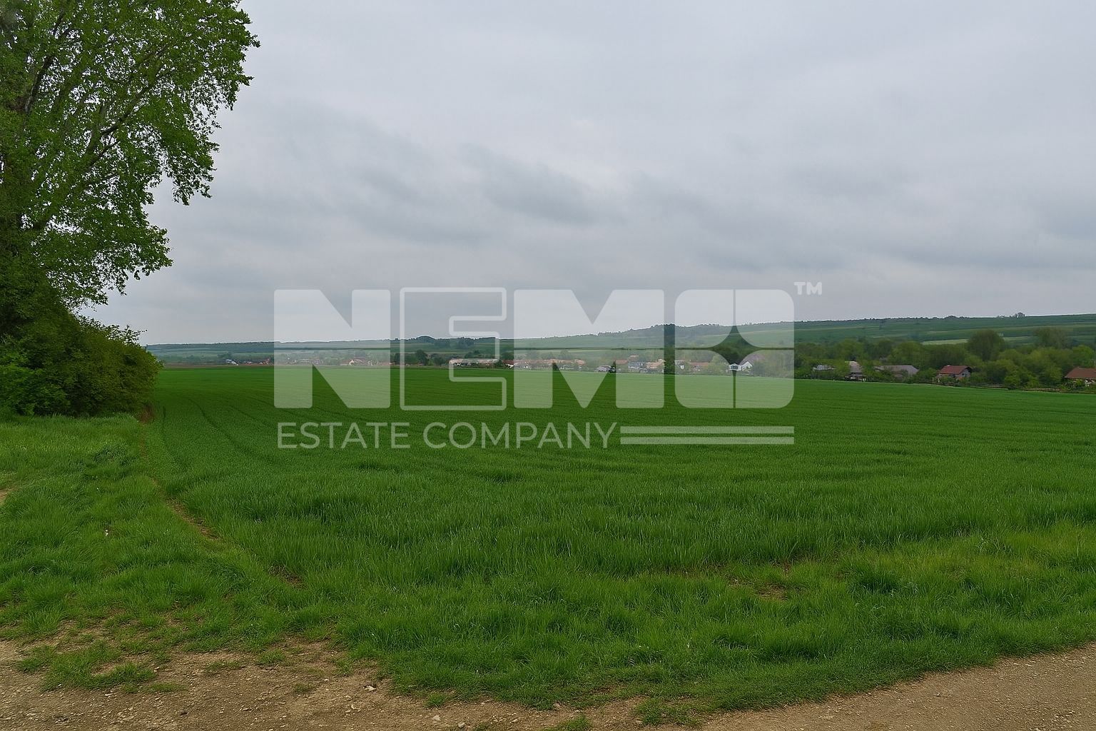 Teren intravilan 3.931 mp | Iacobești | Investiție excelentă - Poză 8