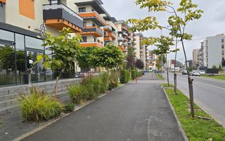 Spațiu comercial în zonă cu vad – Tractorul Coresi - Poză 2