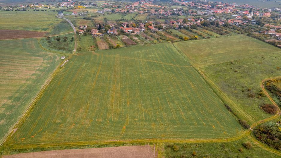 Teren de 50.000mp în Pișchia - Poză 2
