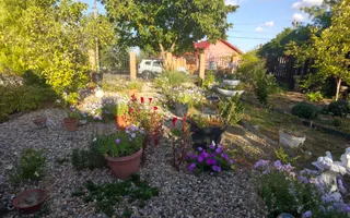 Casa Parter Becicherecu Mic 5 Camere,Vatra Veche,Teren Generos 1600mp,F.s 36 mp - Poză 11