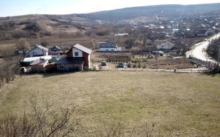 Teren intravilan sat Goruni, jud Iași - Poză 1